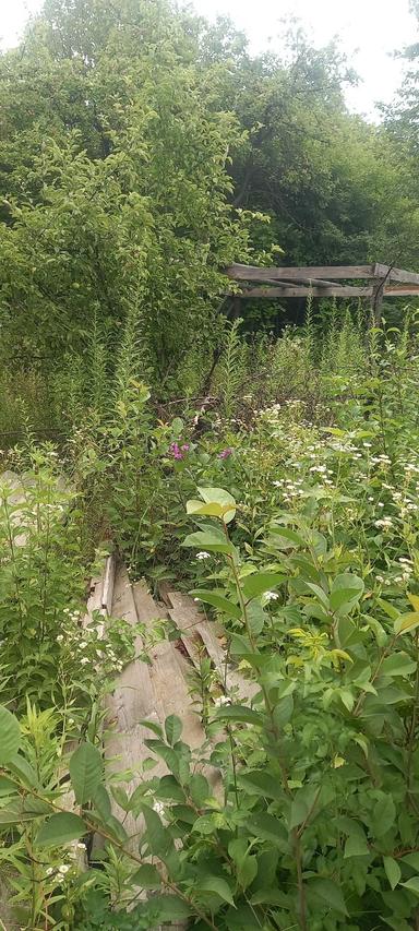 Дом по адресу ул. Таджицька (площадь 20 м²) - Atlanta.ua - фото 11