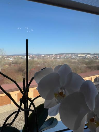 3-rooms apartment apartment by the address st. Petefi Shandora pl (area 117,9 m²) - Atlanta.ua - photo 47