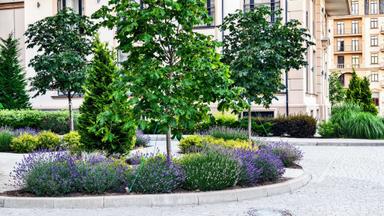 3-комнатная квартира по адресу ул. Греческая (площадь 87 м²) - Atlanta.ua - фото 21