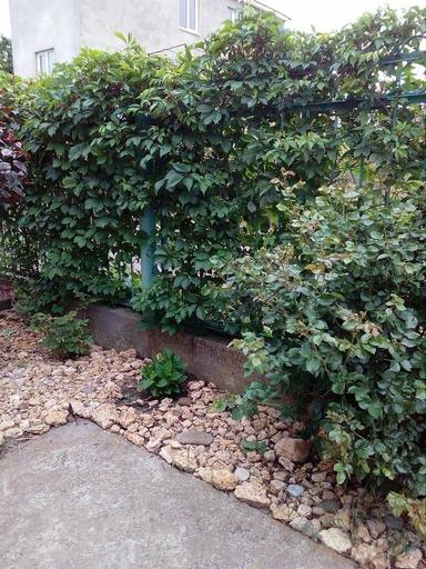 Будинок за адресою (площа 120 м²) - Atlanta.ua - фото 12