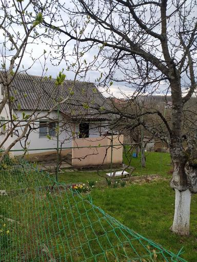 Дом по адресу Петефі Шандора пл. (площадь 50 м²) - Atlanta.ua - фото 9