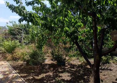 Дом по адресу ул. Экономичная (площадь 191,5 м²) - Atlanta.ua - фото 25