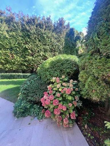 Будинок за адресою Куликове поле пл. (площа 387 м²) - Atlanta.ua - фото 28