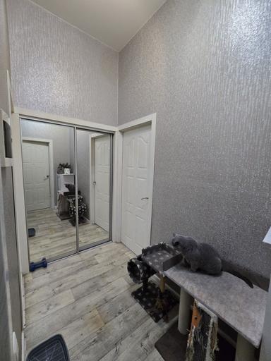 2-комнатная квартира по адресу Куликово поле пл. (площадь 40 м²) - Atlanta.ua - фото 16