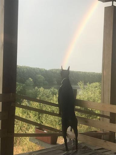 Дом по адресу ул. Магистратская (площадь 160 м²) - Atlanta.ua - фото 29