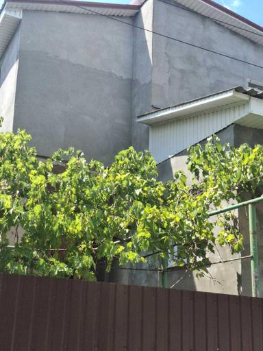 House by the address (area 144 m²) - Atlanta.ua - photo 41