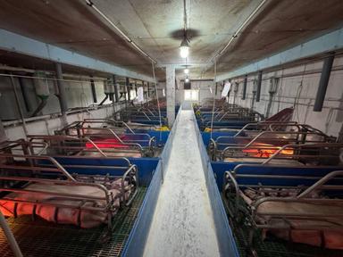 Комерційна нерухомість за адресою вул. Магістратська (площа 4120 м²) - Atlanta.ua - фото 22