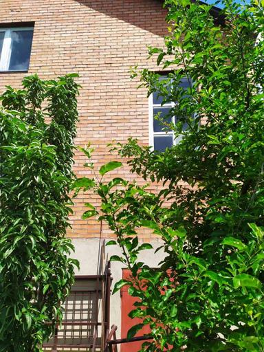 House by the address st. Nemirovskaya (area 227 m²) - Atlanta.ua - photo 23