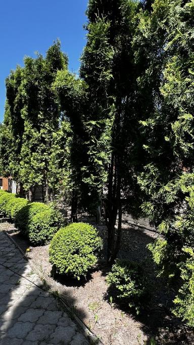 House by the address (area 600 m²) - Atlanta.ua - photo 24