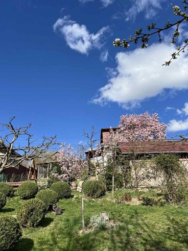 Дом по адресу ул. Добробутна (площадь 75 м²) - Atlanta.ua - фото 20