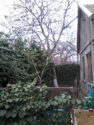 Будинок за адресою (площа 70 м²) - Atlanta.ua - фото 23