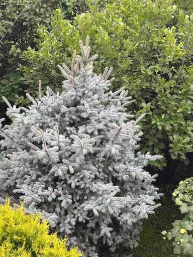 Будинок за адресою вул. Капеланська (площа 297 м²) - Atlanta.ua - фото 29