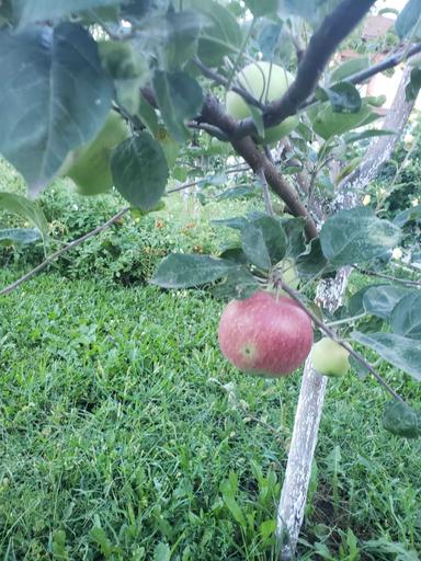 Дом по адресу (площадь 190 м²) - Atlanta.ua - фото 43