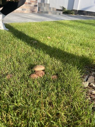 Дом по адресу ул. Бандеры Степана (площадь 155 м²) - Atlanta.ua - фото 32