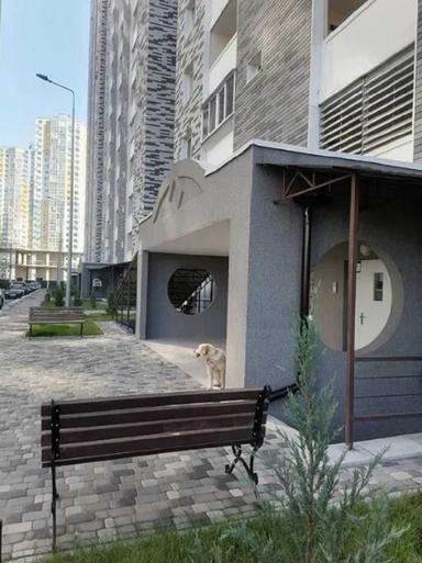 Коммерческая недвижимость по адресу ул. Ревуцкого (площадь 100 м²) - Atlanta.ua - фото 22