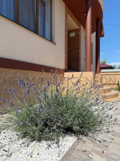 Дом по адресу Петефі Шандора пл. (площадь 258 м²) - Atlanta.ua - фото 47