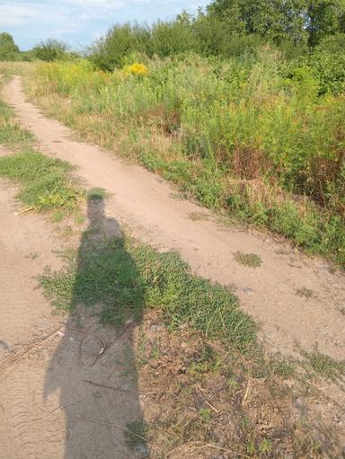 Дом по адресу ул. Добробутна (площадь 36 м²) - Atlanta.ua - фото 23