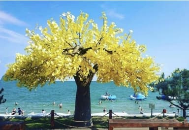 1-комнатная квартира по адресу ул. Победы (площадь 34,7 м²) - Atlanta.ua - imageAlt 39