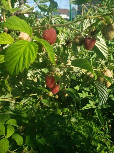 Дом по адресу (площадь 190 м²) - Atlanta.ua - фото 42