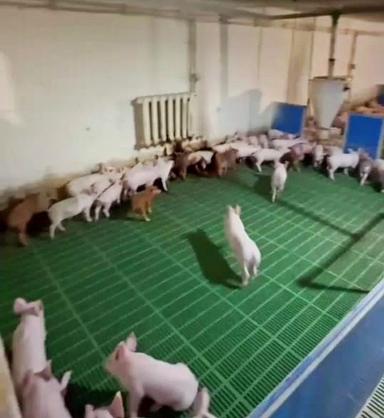 Комерційна нерухомість за адресою вул. Магістратська (площа 4120 м²) - Atlanta.ua - фото 32