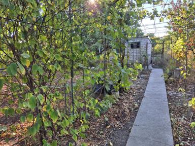 House by the address st. Primorskaya (area 70 m²) - Atlanta.ua - photo 29