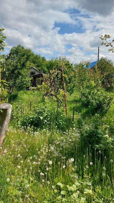 Дом по адресу (площадь 24 м²) - Atlanta.ua - фото 15