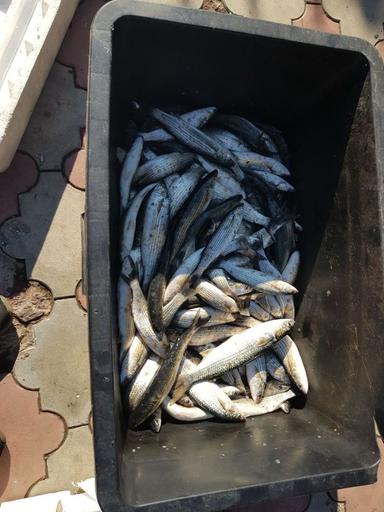 Дом по адресу (площадь 277 м²) - Atlanta.ua - фото 35