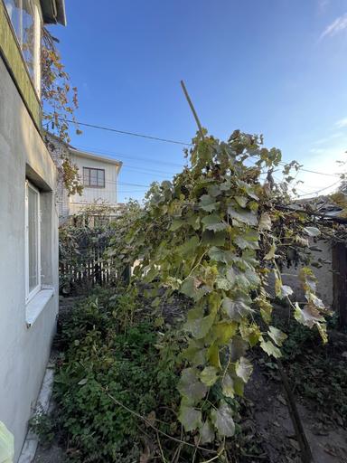 House by the address st. Primorskaya (area 102 m²) - Atlanta.ua - photo 7