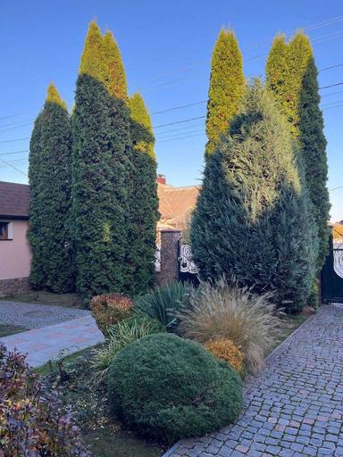 Дом по адресу (площадь 340 м²) - Atlanta.ua - фото 29