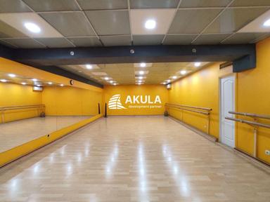 Комерційна нерухомість за адресою вул. Межигірська (площа 297 м²) - Atlanta.ua - фото 25