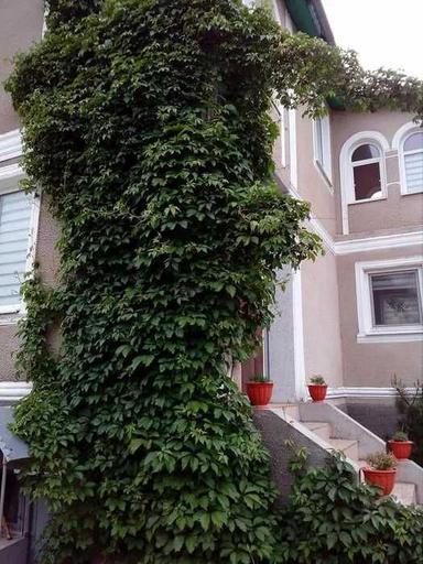 Дом по адресу ул. 21 км. Старокиевской дороги (площадь 120 м²) - Atlanta.ua - фото 15