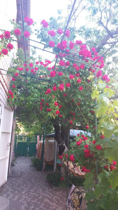 House by the address (area 160 m²) - Atlanta.ua - photo 9