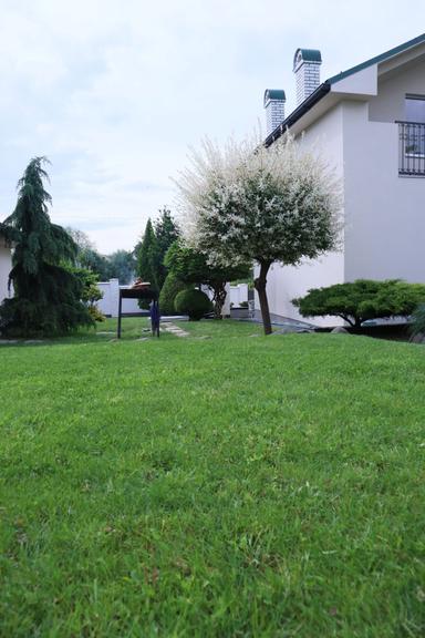 Дом по адресу Петефі Шандора пл. (площадь 170 м²) - Atlanta.ua - фото 31