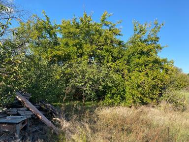 Дом по адресу ул. Васильковская (площадь 68,4 м²) - Atlanta.ua - фото 26