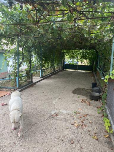 Будинок за адресою (площа 100 м²) - Atlanta.ua - фото 20