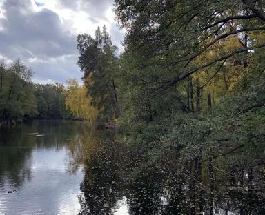 1-комнатная квартира по адресу ул. Квитки Цисик (площадь 30,6 м²) - Atlanta.ua - фото 27