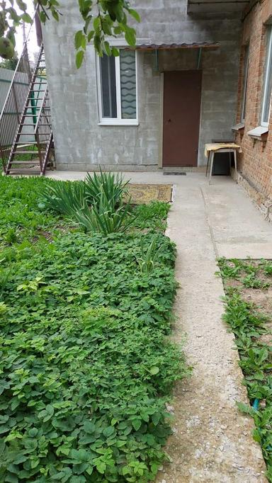 Дом по адресу (площадь 135 м²) - Atlanta.ua - фото 30