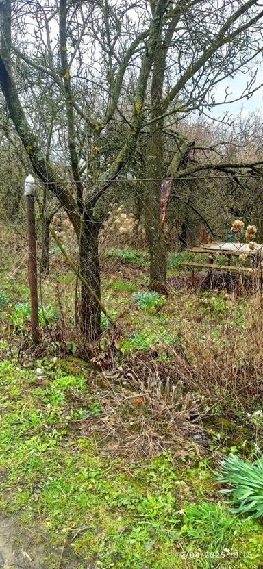 Будинок за адресою вул. Капеланська (площа 100 м²) - Atlanta.ua - фото 16