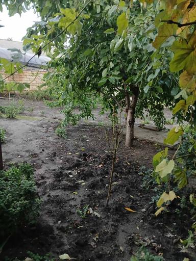 Будинок за адресою (площа 32 м²) - Atlanta.ua - фото 37