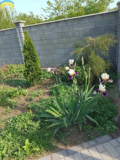 Дом по адресу ул. Макаренко (площадь 130 м²) - Atlanta.ua - фото 14