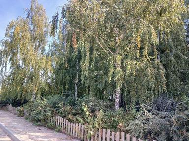 2-кімнатна квартира за адресою (площа 50,1 м²) - Atlanta.ua - фото 33