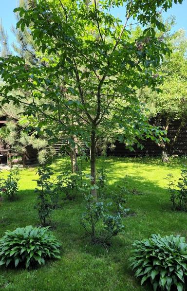 2-комнатная квартира по адресу ул. Васильковская (площадь 60 м²) - Atlanta.ua - фото 34