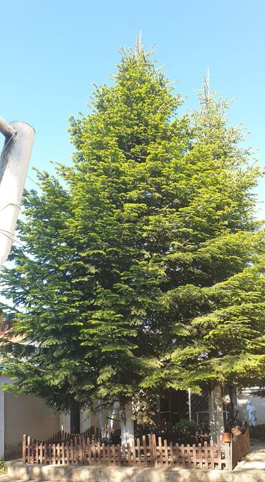 Дом по адресу (площадь 498 м²) - Atlanta.ua - фото 19