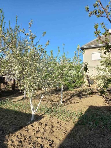 Дом по адресу ул. Капеланська (площадь 99,3 м²) - Atlanta.ua - фото 18