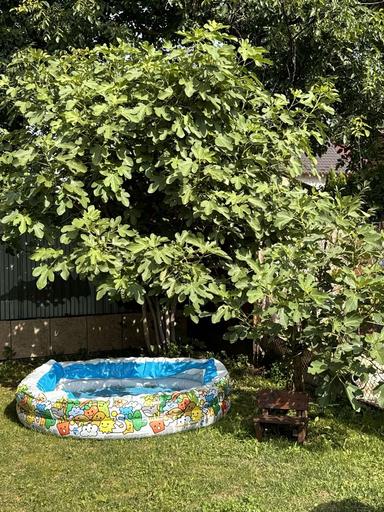 2-rooms apartment apartment by the address (area 69 m²) - Atlanta.ua - photo 39