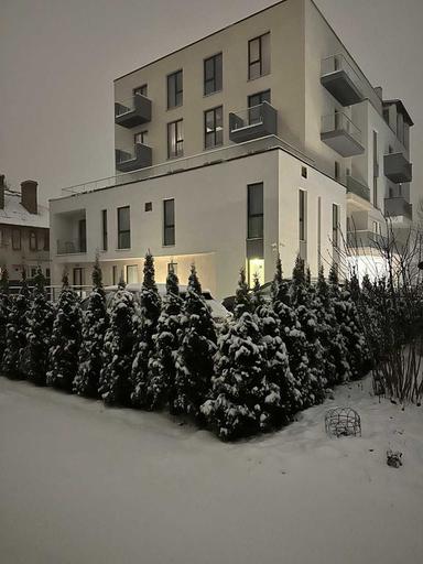 Багатокімнатна квартира за адресою (площа 170 м²) - Atlanta.ua - фото 24