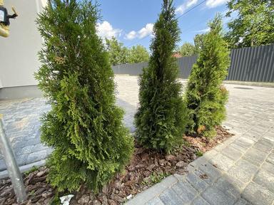 House by the address (area 70 m²) - Atlanta.ua - photo 13