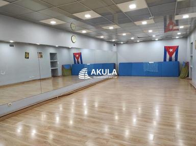 Комерційна нерухомість за адресою вул. Межигірська (площа 297 м²) - Atlanta.ua - фото 27