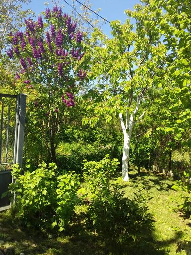 Дом по адресу (площадь 37 м²) - Atlanta.ua - фото 25