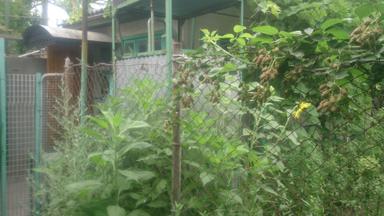 Будинок за адресою вул. Танкістів (площа 56 м²) - Atlanta.ua - фото 29